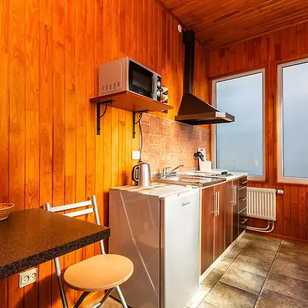 Проживание в семье Vila Elena